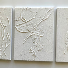 Load image into Gallery viewer, Nature’s Grace